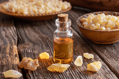 The perfect oils for your hair